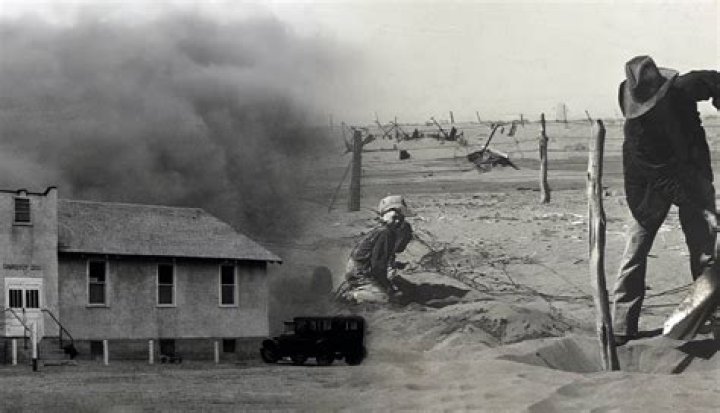 What was done to stop the Dust Bowl?