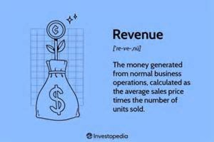 What word means revenue?