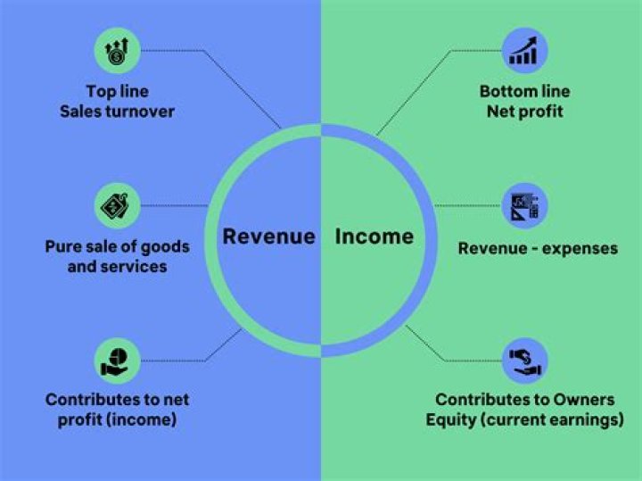 Whats is the meaning of revenue?