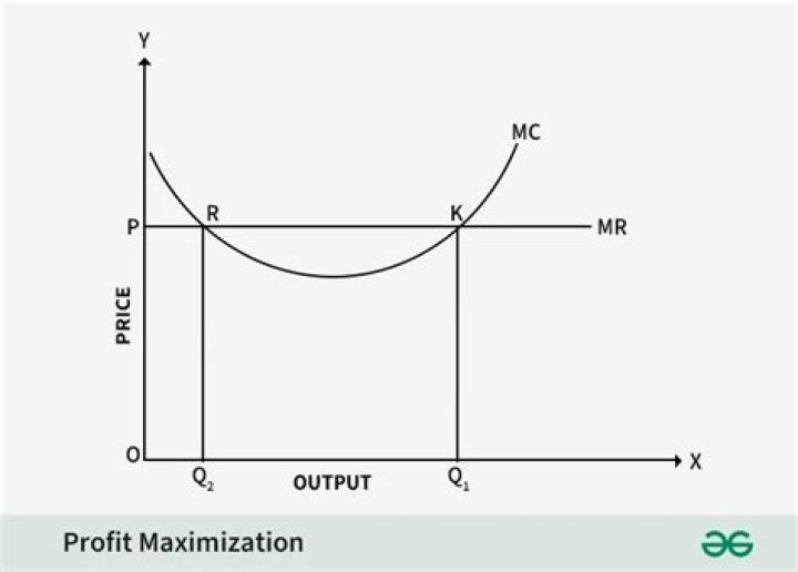When the profit-maximizing output is reached?