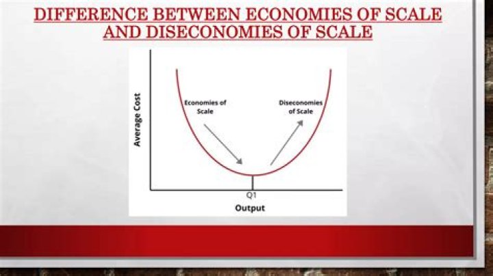 Which cost increases due to diseconomies of scale?