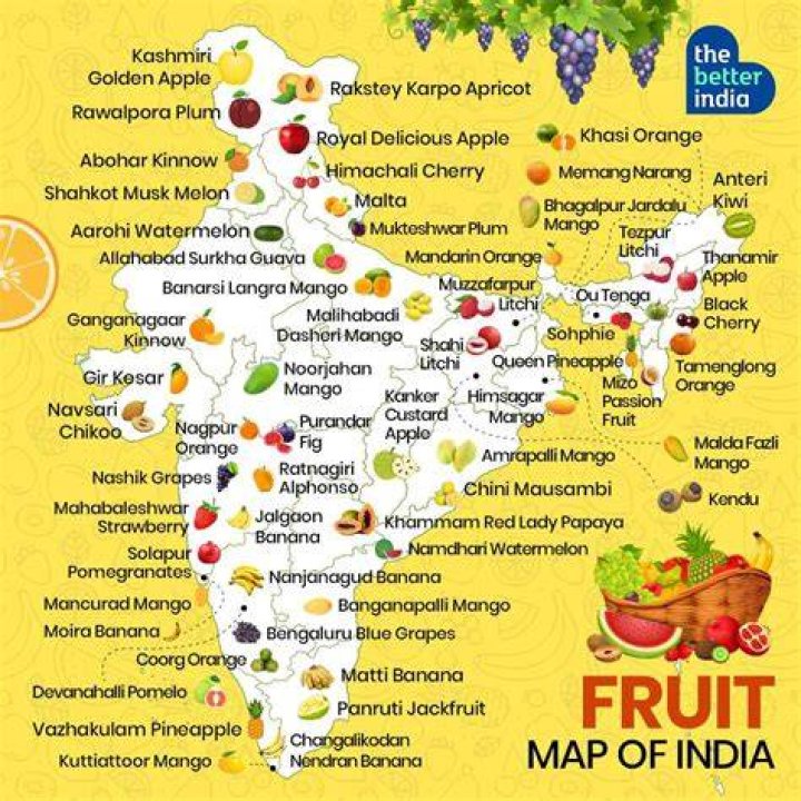 Which fruit does India import most?