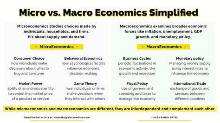 Which policy is included in micro economic policy?
