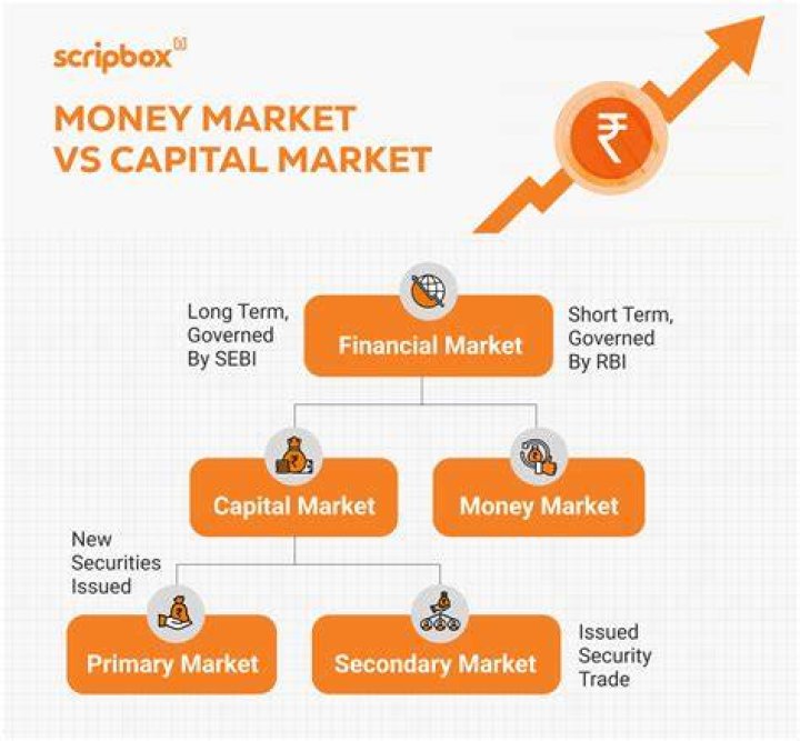 Who are the participants in money market and capital market?