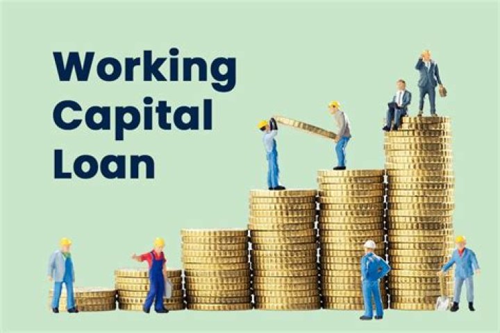 Who can take working capital loan?