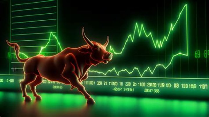 Who controls the share price in the stock market?