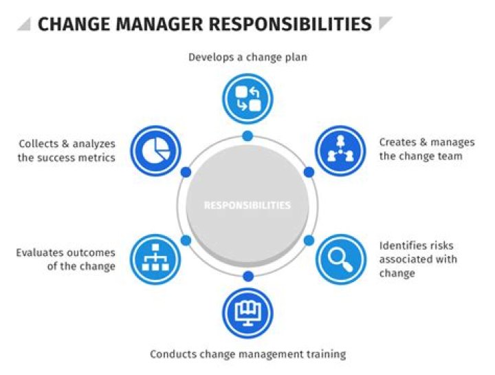 Who does a change manager report to?
