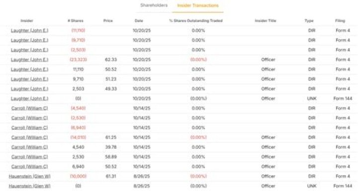 Who is Delta owned by?