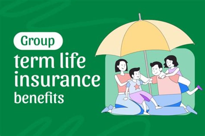 Who is the owner of group term life insurance?