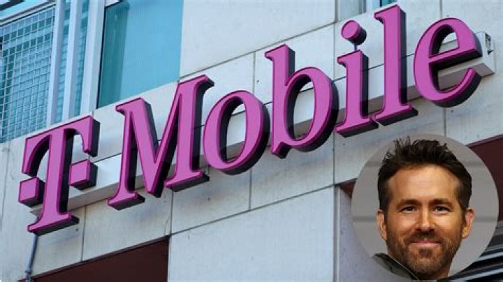 Who is the owner of Robi?