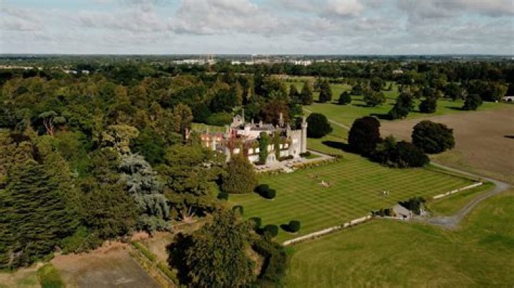Who owns Luttrellstown golf club?