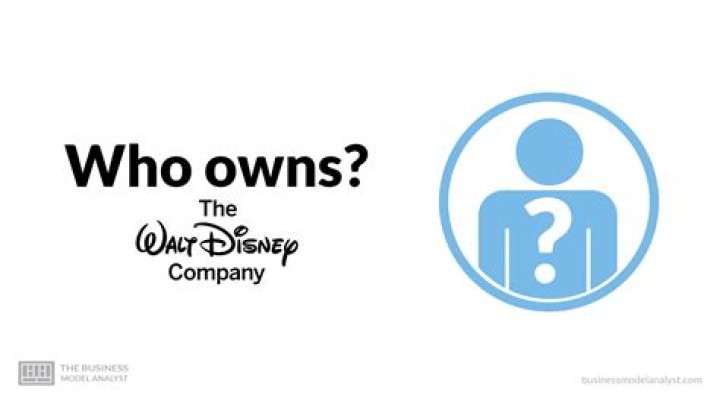 Who owns Vulcan Inc?