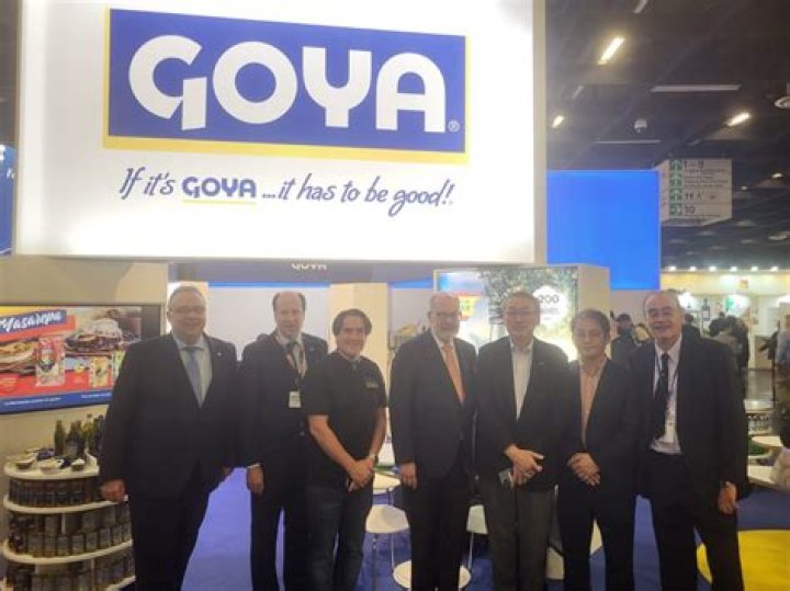 Who started the Goya company?