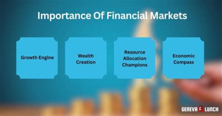 Why are financial markets essential for a healthy economy and economics growth?