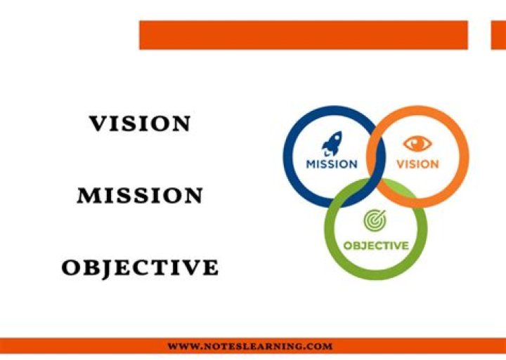 Why are vision mission goals and objectives important in an organization?