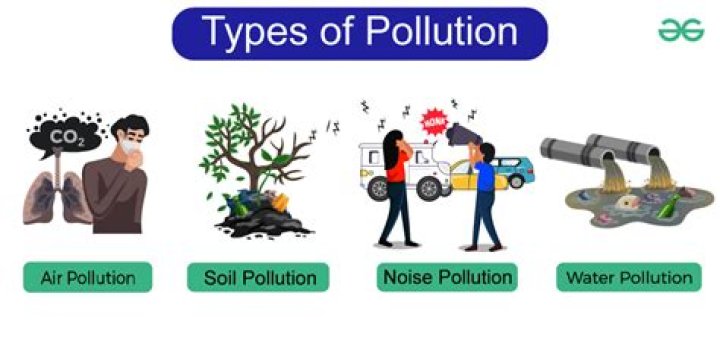 Why do economists prefer pollution to no pollution?