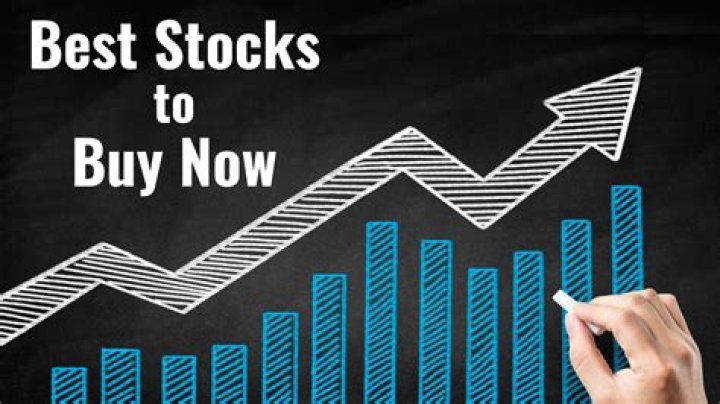 Why do individuals companies buy stocks?