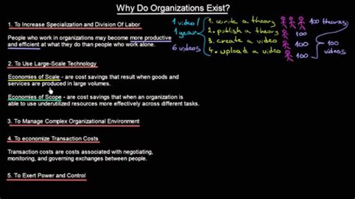 Why do organizations exist?