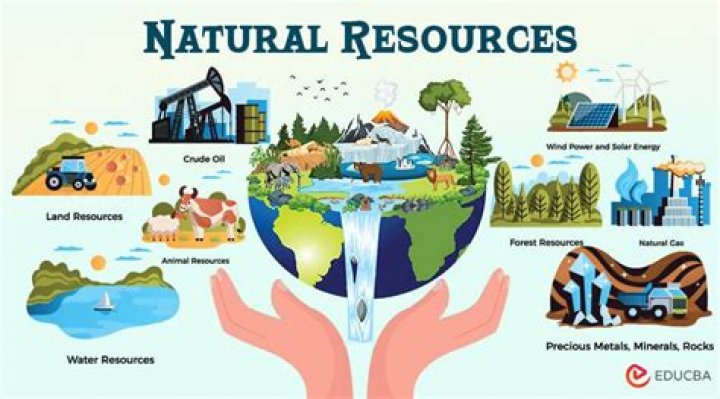 Why do physical resources need to be managed?