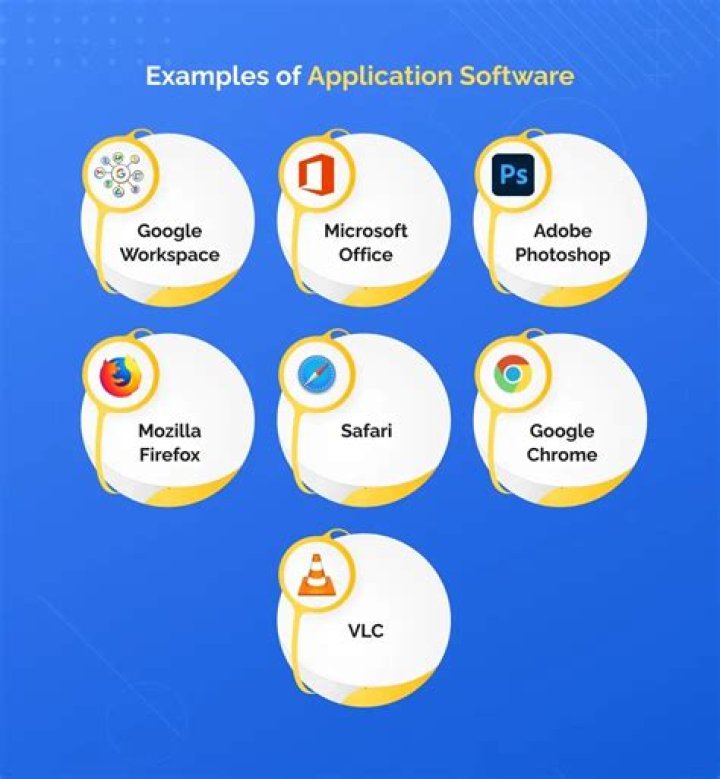 Why is application software important to a business?