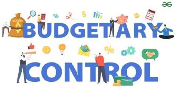 Why is budgetary control important in business?