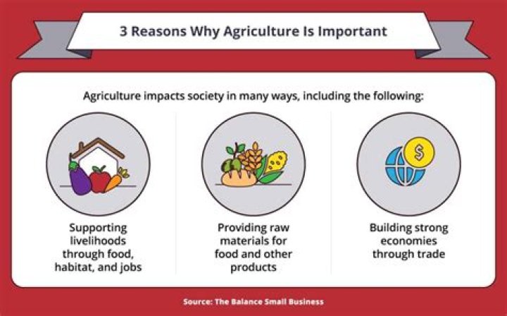 Why is iron important in the industry?
