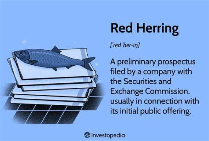 Why is it called Red Herring Prospectus?