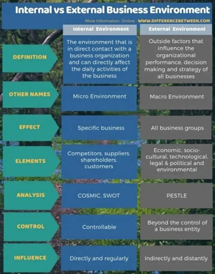 Why is it important for managers to assess both internal and external environment of a firm?