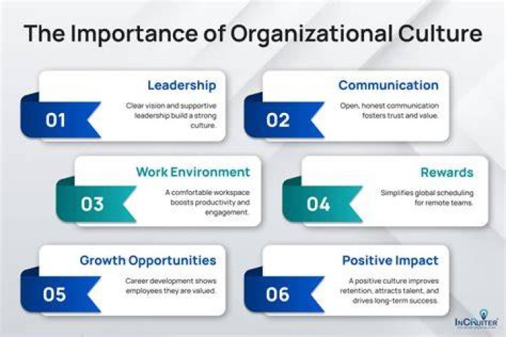 Why is organizational feedback important?