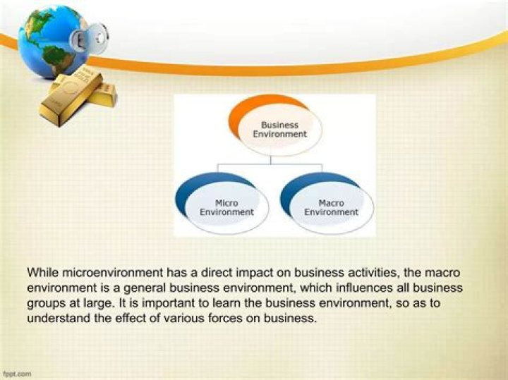Why is the macro environment a challenge to businesses?