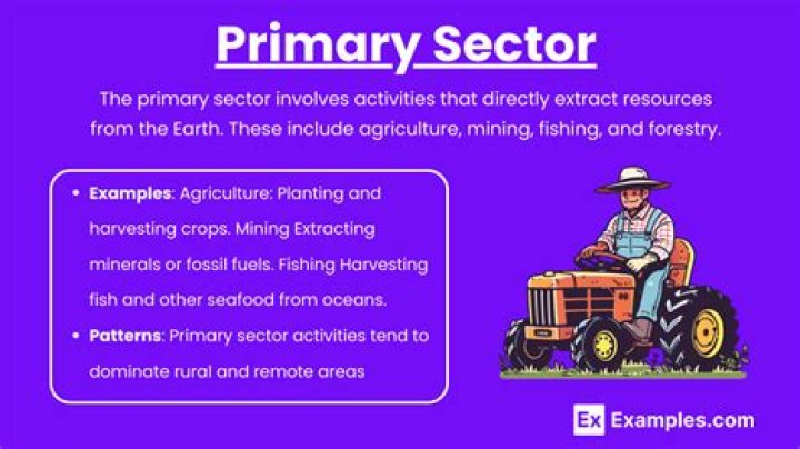 Why is the primary sector declining?