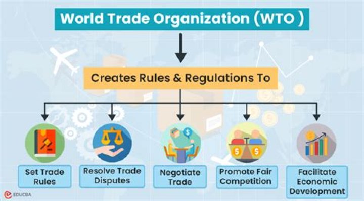 Why is the WTO important?