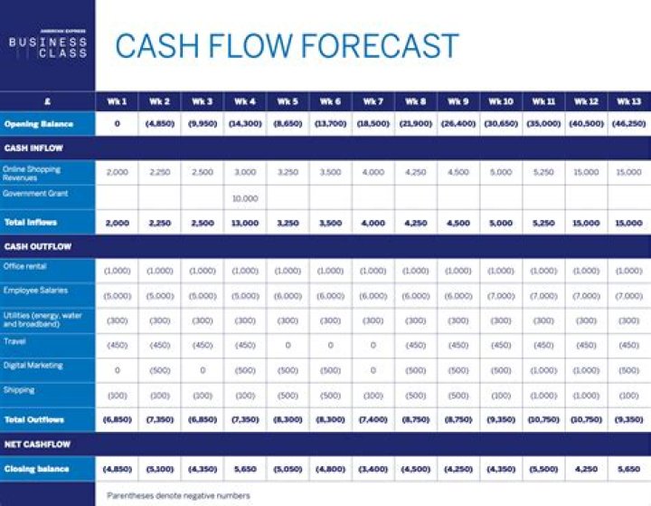 Why would a bank be interested in a cash flow forecast?